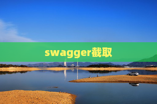 swagger截取